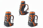 Load image into Gallery viewer, 70L+5L Tanfeng Hiking Backpack – Waterproof Mountaineering Rucksack with Rain Cover